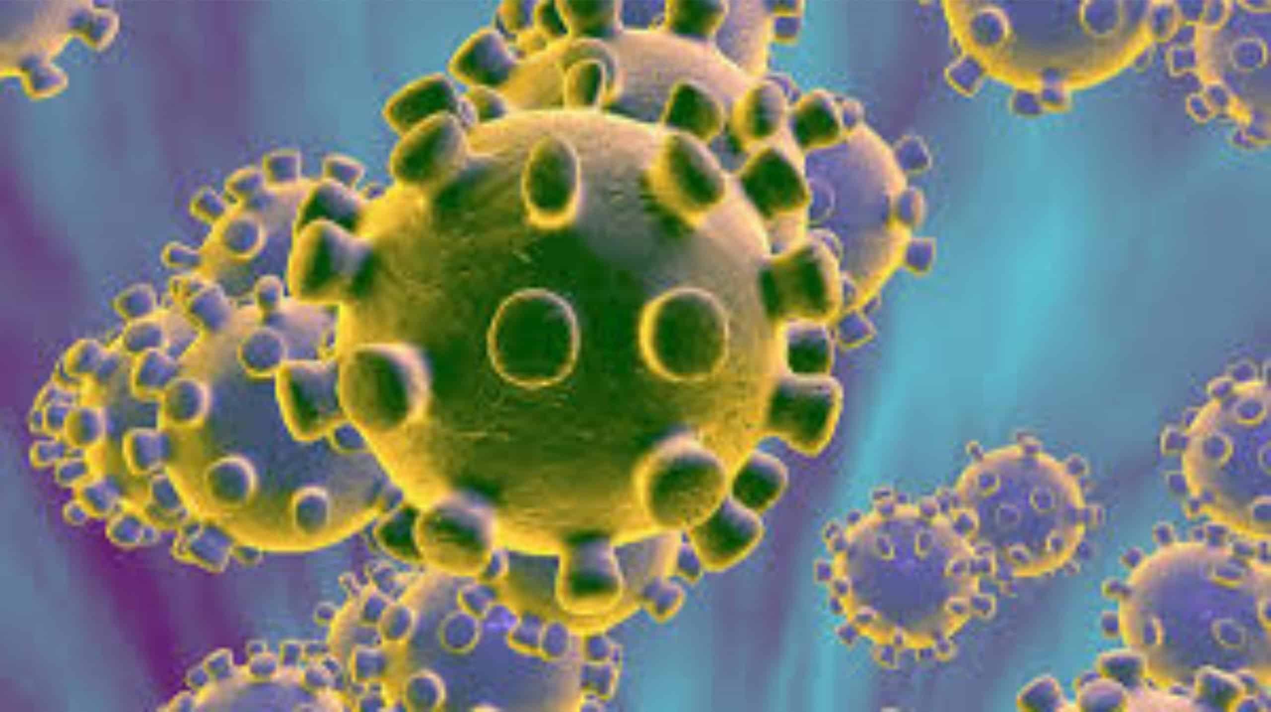 Coronavirus Pandemic in Nigeria