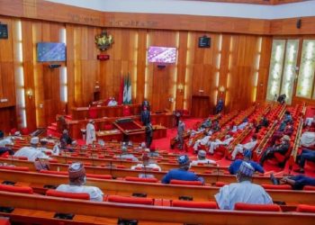 Nigerian Senate Plenary Session