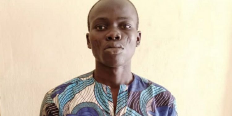 Ogun police arrest man for murder