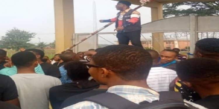 Delta Poly Students Protest