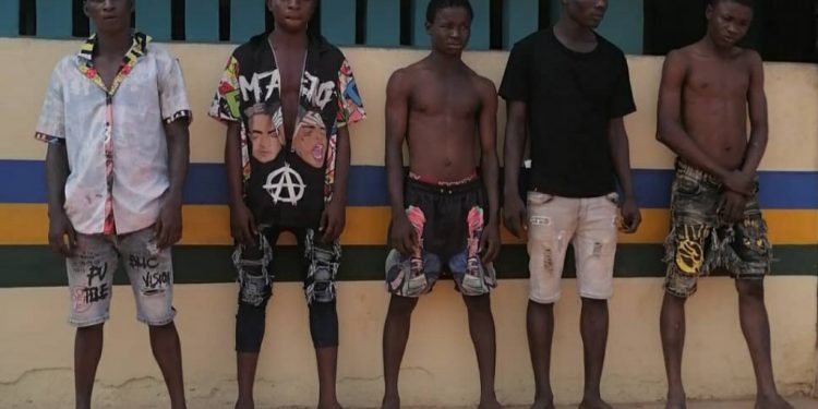 Police arrested suspected cultists