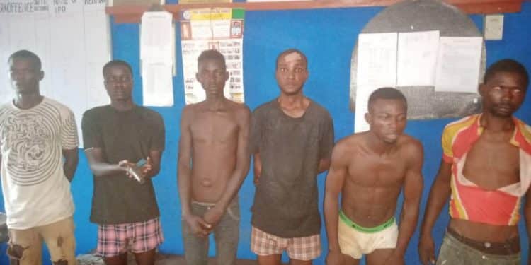police arrested suspected cultists in ogun