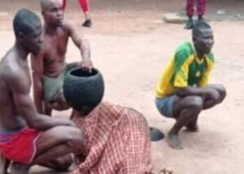 Amotekun arrest ritualist human parts dealers Ibadan