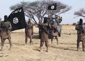 Boko Haram - ISWAP fighters