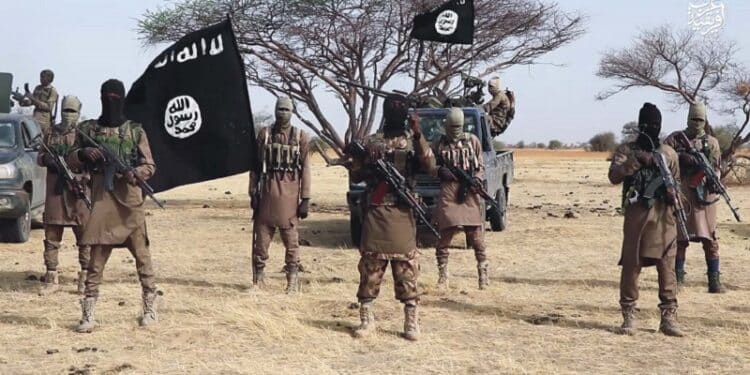 Boko Haram - ISWAP fighters