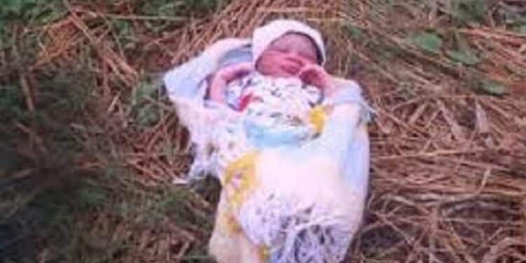 One-month-baby-dumped-in-bush in Benue