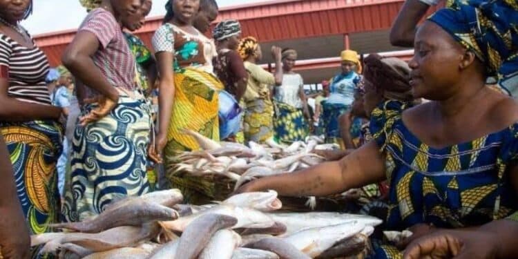fish sellers in ogun state