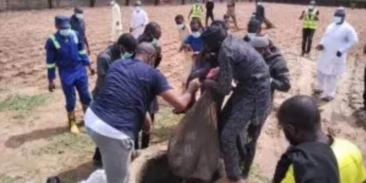 Abuja farmer killed - police reveal