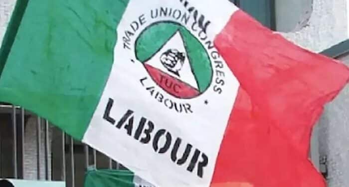 Labour Party Logo flag