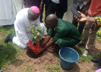 Catholic Archbishop of Ibadan Archdiocese, Abegunrin on ecosystem