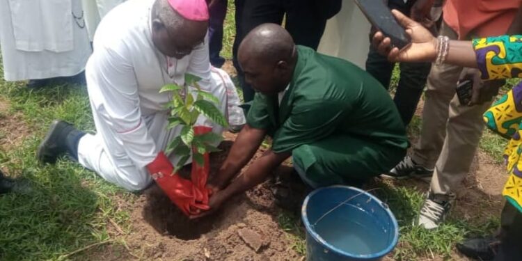 Catholic Archbishop of Ibadan Archdiocese Abegunrin on ecosystem