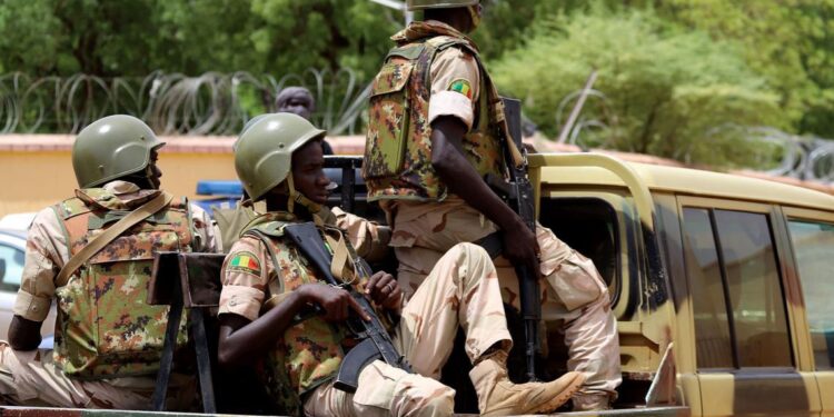 Mali Troops
