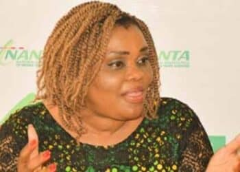 President of the National Association of Nigeria Travel Agencies (NANTA), Susan Akporiaye on African Tourism Development