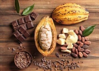 Health Benefits of Cocoa Lowering Blood Pressure and Cholesterol Risk